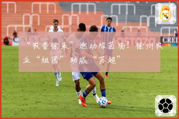 “农香徐来”燃动绿茵场！徐州农业“组团”助威“苏超”