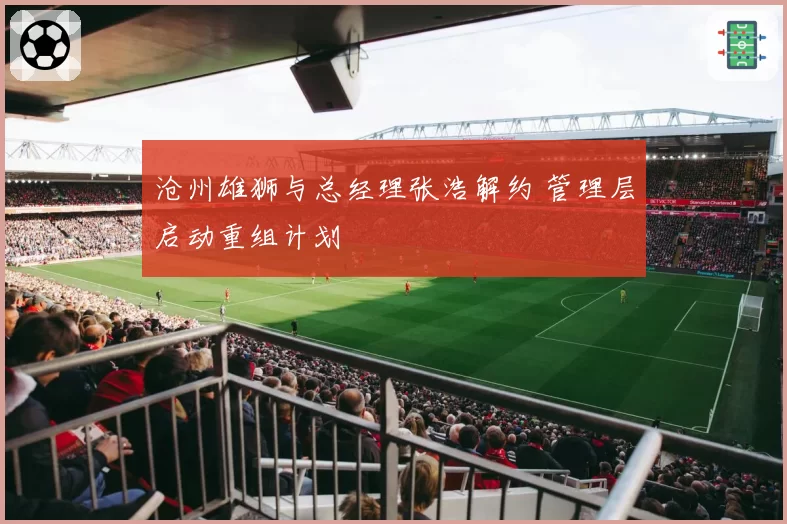 沧州雄狮与总经理张浩解约 管理层启动重组计划