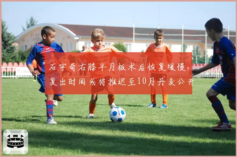 石宇奇右膝半月板术后恢复缓慢,复出时间或将推迟至10月丹麦公开赛