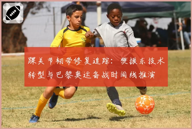 踝关节韧带修复追踪：樊振东技术转型与巴黎奥运备战时间线推演