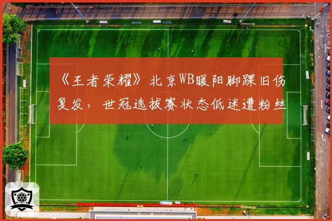 《王者荣耀》北京WB暖阳脚踝旧伤复发,世冠选拔赛状态低迷遭粉丝心疼