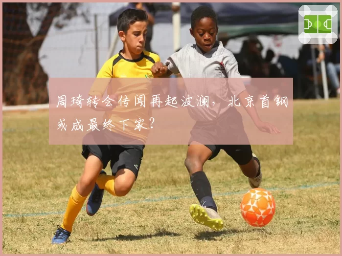 周琦转会传闻再起波澜，北京首钢或成最终下家？